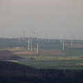 IMG 0005