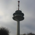 IMG 0021
