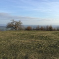 IMG 0025