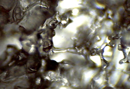 Schmelzwasser (641 besuche) Schmelzwasser