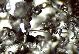 Schmelzwasser2 (720 besuche) Schmelzwasser2