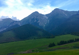 IMG_0976.JPG (629 besuche) IMG_0976.JPG