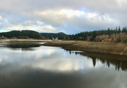 Eckertalsperre 10 (90 visits) Eckertalsperre 10