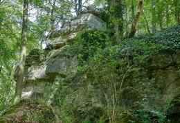 Ith 7 (11 visits) Ith 7