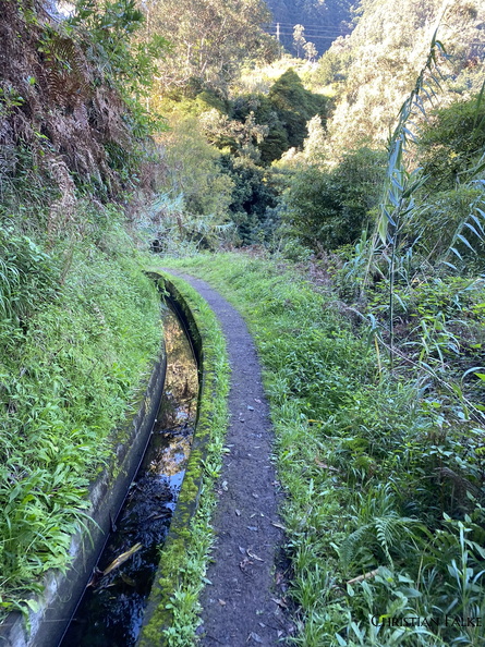 Levada do Castelejo 4