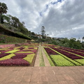 Botanischer Garten Funchal 6.JPEG