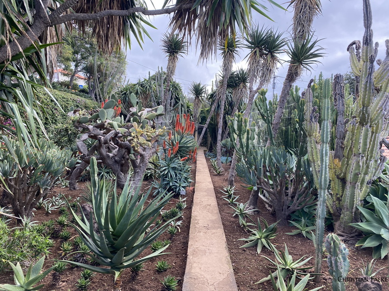 Botanischer Garten Funchal 7