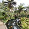 Japanischer Garten Funchal 3.JPEG