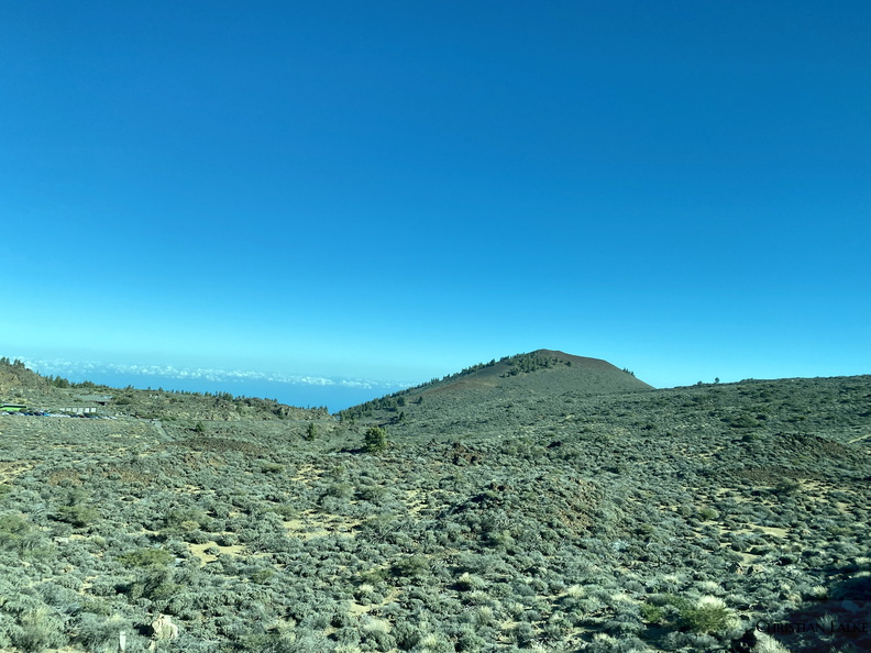 Teide Nationalpark 46.JPEG