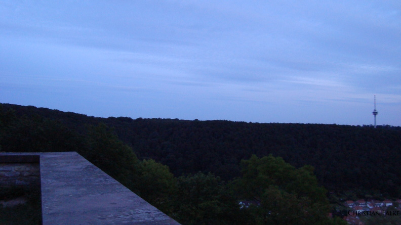 Burg Plesse 2009005