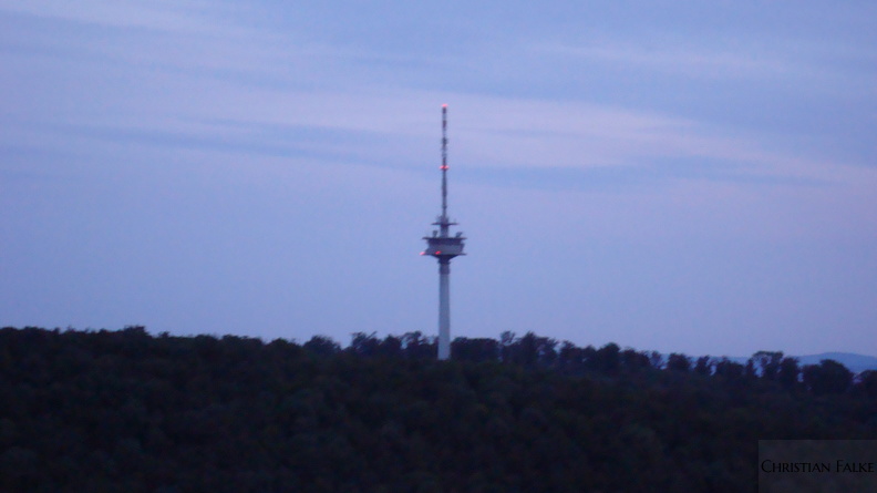 Burg Plesse 2009006