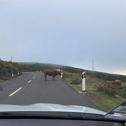 Kanaren und Madeira